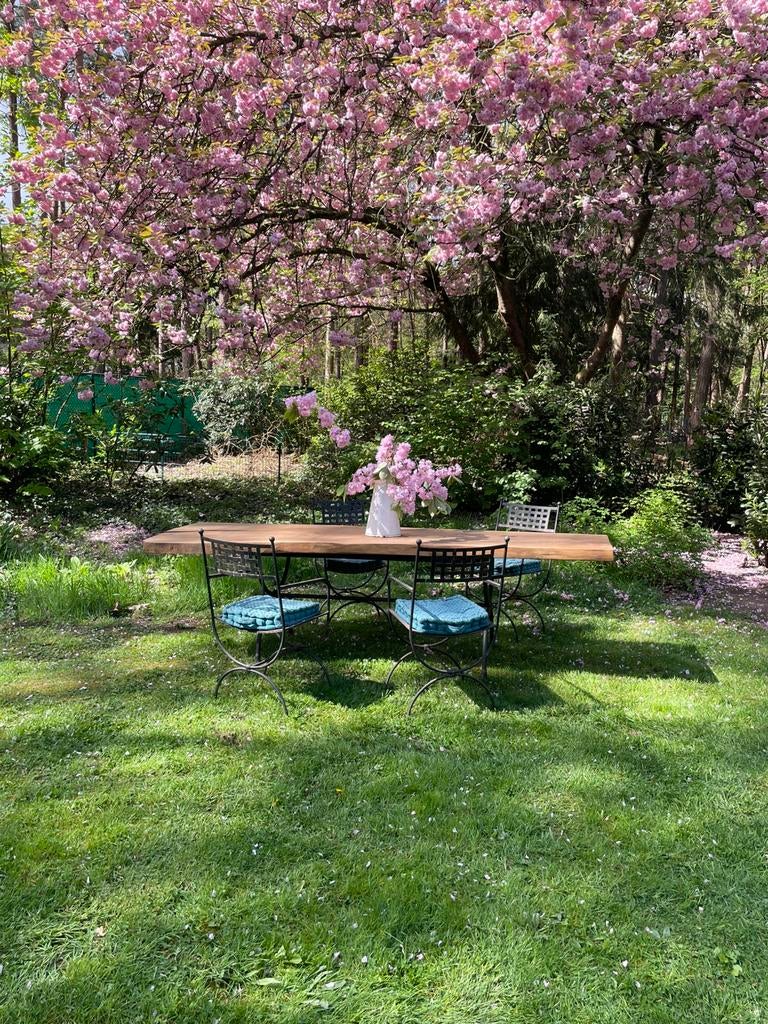 Prachtig mooi tuinset adv lezen, Ophalen, Zo goed als nieuw, Tuinset