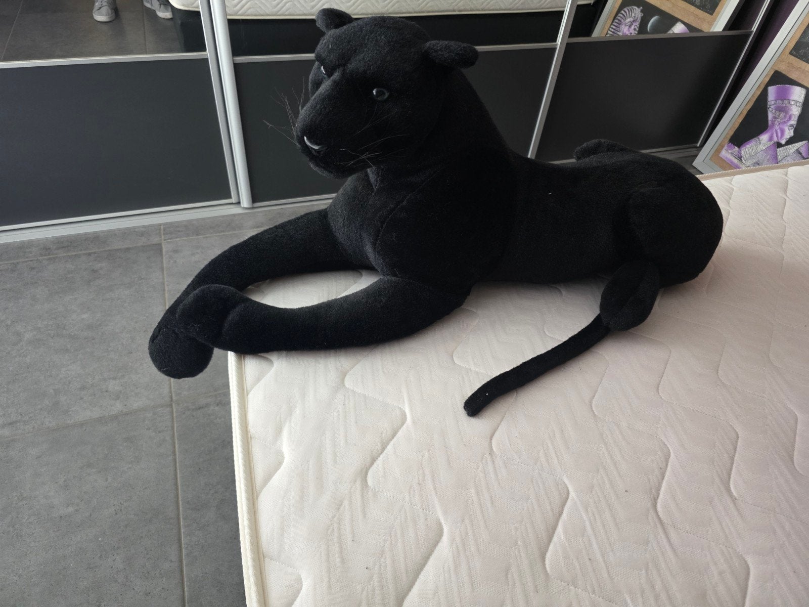peluche panthère noir, Enlèvement, Noir