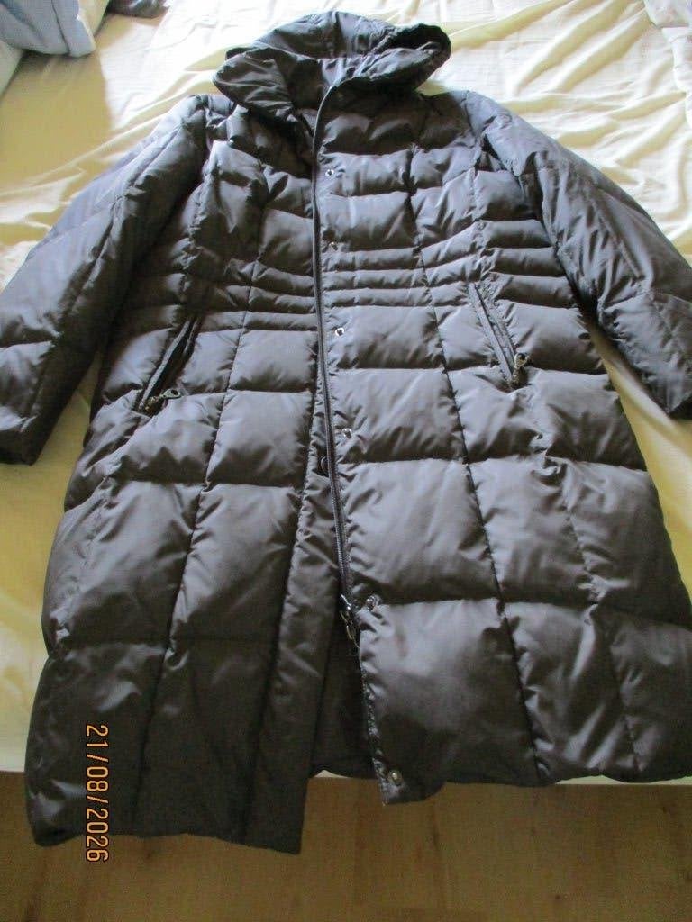 nieuwe winterjas, Enlèvement ou Envoi, Neuf, Taille 38/40 (M), Brun