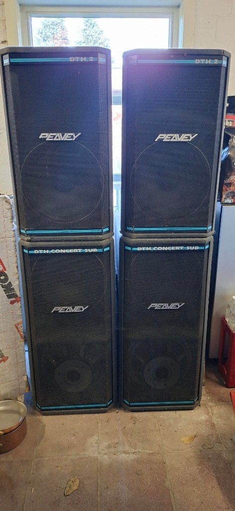 Peavey klankkasten, TV, Hi-fi & Vidéo, Autres marques, Enlèvement, Utilisé, Enceintes stéréo