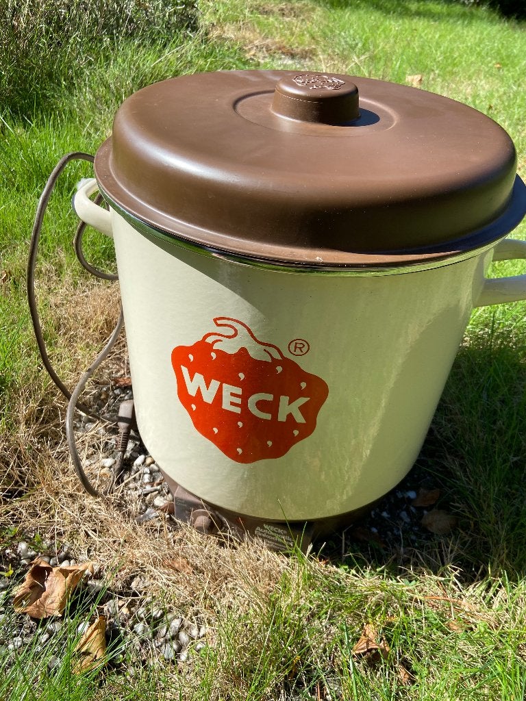 Elektrische weck ketel, Maison & Meubles, Enlèvement