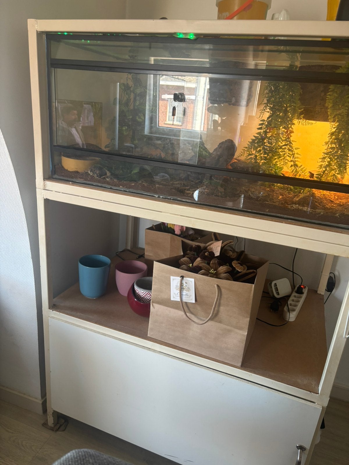 Terarium met ball python, Dieren en Toebehoren, Ophalen, Zo goed als nieuw