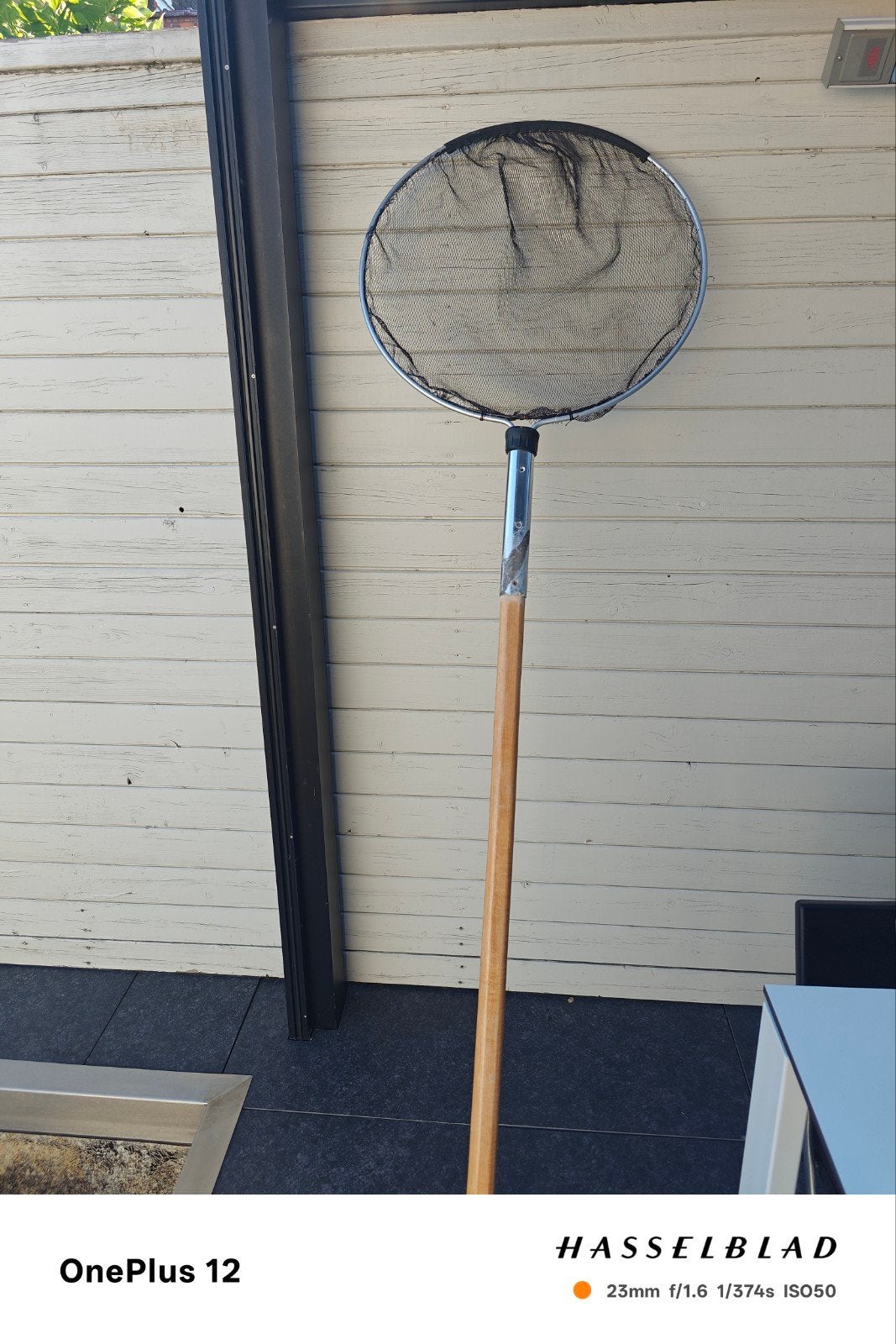 Vangnet 60cm, Dieren en Toebehoren