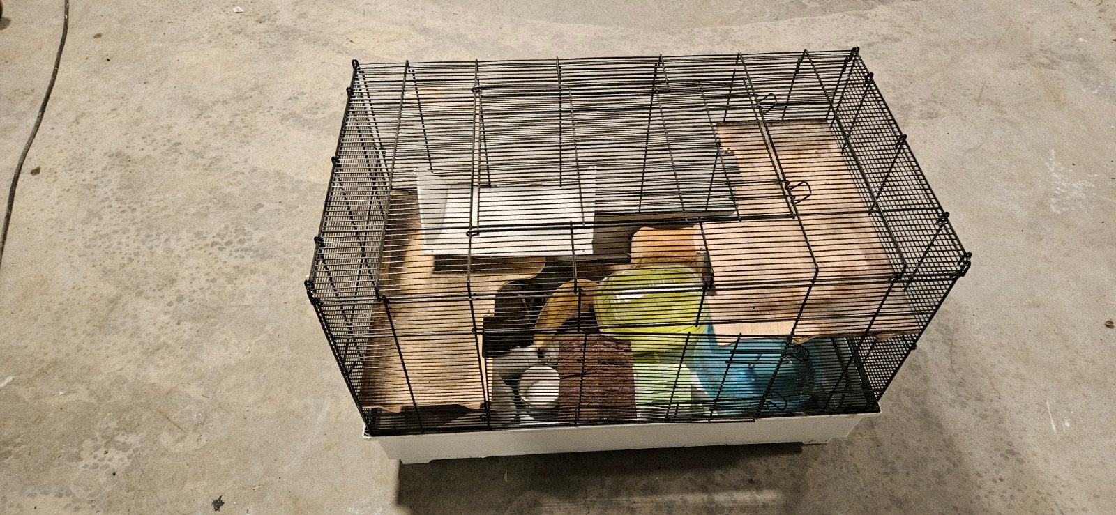 hamsterkooi, Ophalen
