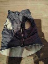 honden jasje, Dieren en Toebehoren, Honden-accessoires, Ophalen