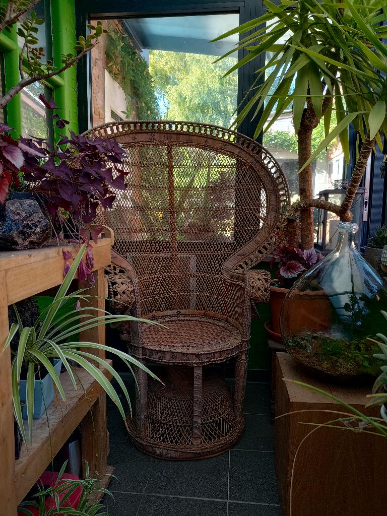 Peacock chair Emmanuelle, Ophalen, Riet of Rotan
