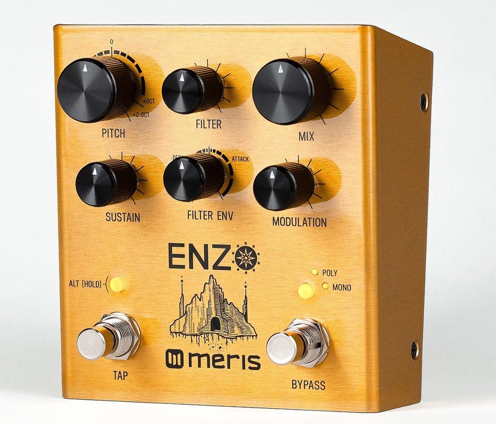 Meris enzo - (gitaar) synth effect in zeer goede staat, Muziek en Instrumenten, Ophalen of Verzenden, Volume