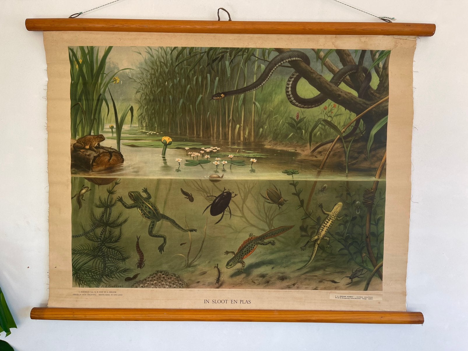 Oude schoolplaten, Enlèvement ou Envoi