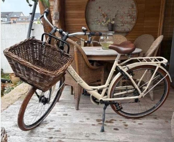 Oxford damesfiets, Ophalen, Zo goed als nieuw