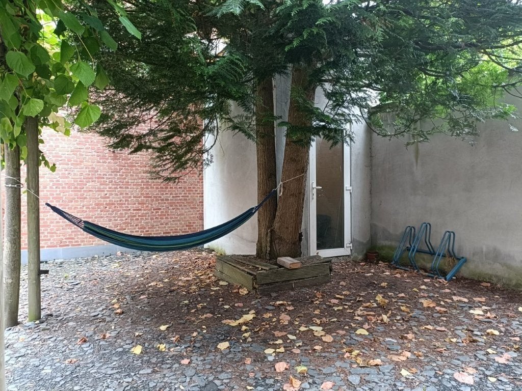 Karaktervol burgerhuis met praktijk, stadstuin, dakterras,, Immo, 234 kWh/m²/an, Habitation avec espace professionnel, Gent, 212 m²