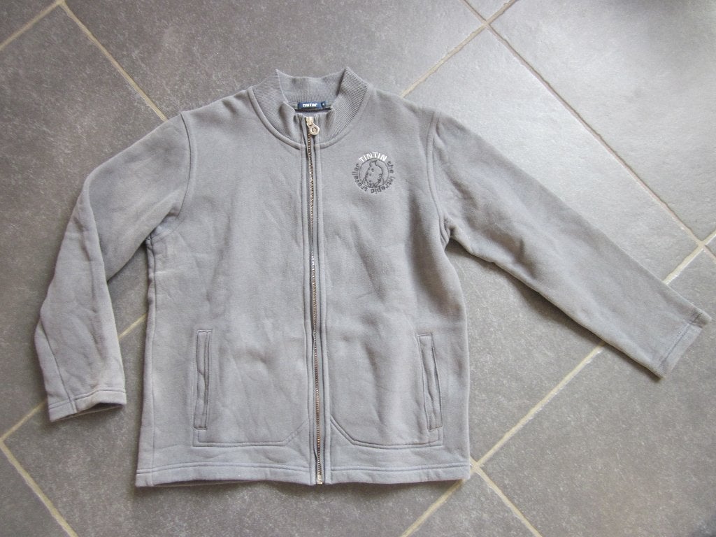grijze gilet van het merk TinTin - Kuifje, Kinderen en Baby's, Kinderkleding | Maat 140, Gebruikt, Jongen, Trui of Vest, Ophalen of Verzenden