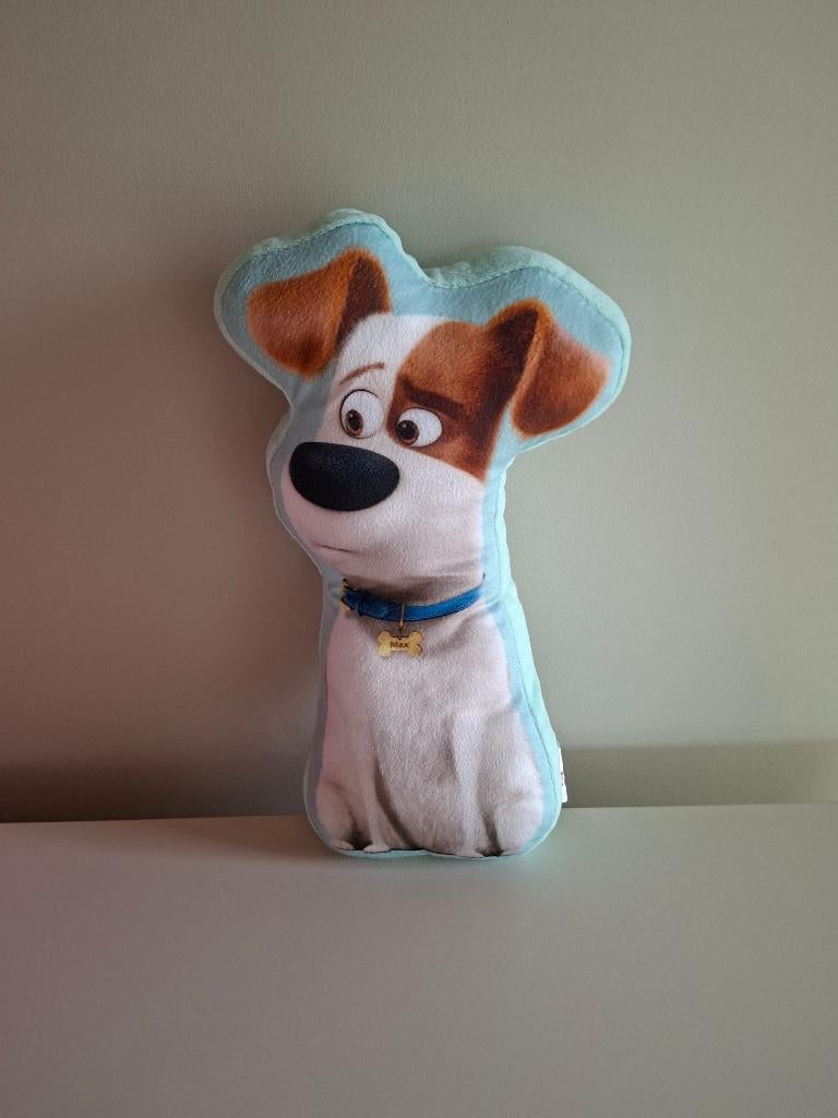 Pluche knuffel hond, Kinderen en Baby's, Speelgoed | Knuffels en Pluche, Overige merken, Zo goed als nieuw, Middelgroot (20 tot 80 cm)