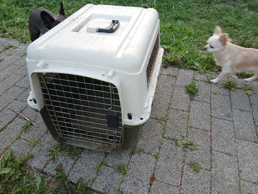 Varikennel groen, Dieren en Toebehoren, Ophalen, Gebruikt