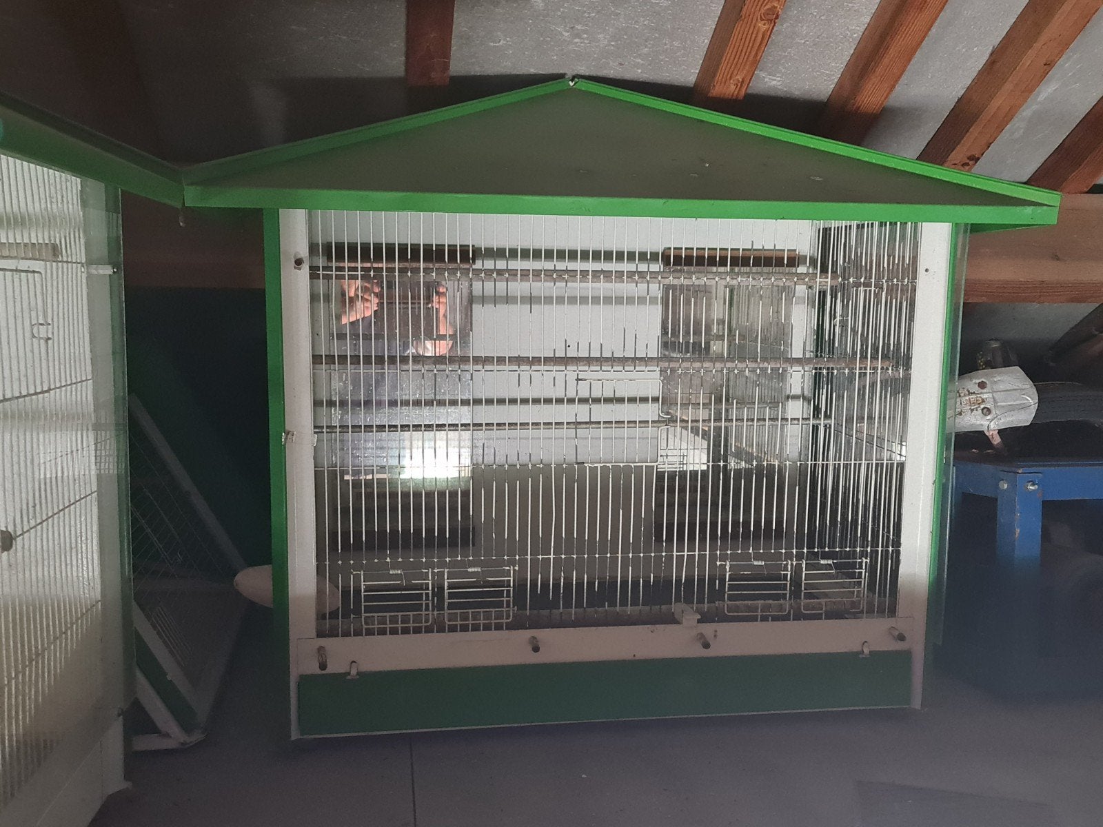 Cages à oiseaux, Enlèvement, Utilisé, Métal, Cage à oiseaux
