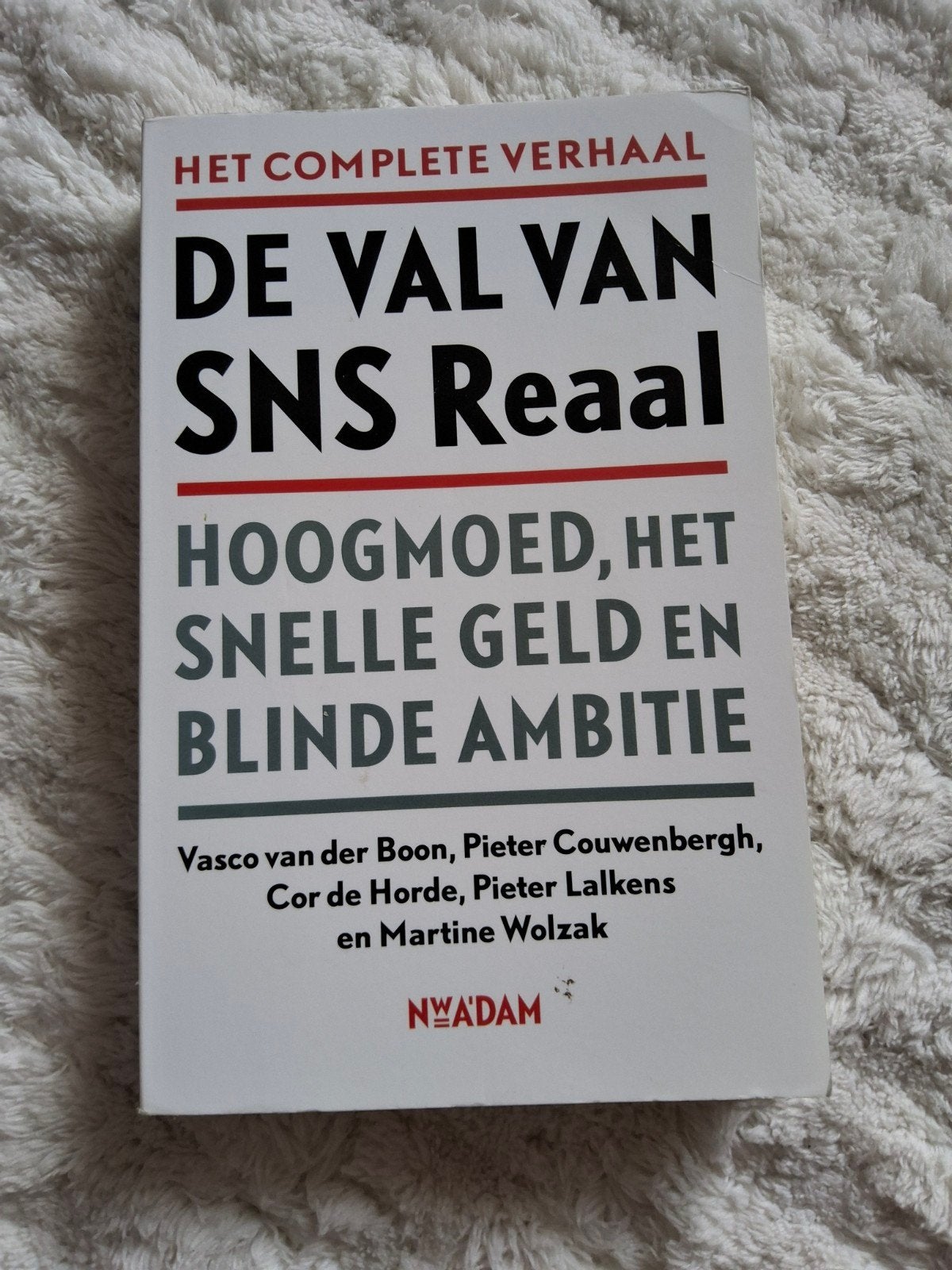 Vasco van der Boon - De val van SNS Reaal, Ophalen of Verzenden, Vasco van der Boon; Pieter Couwenbergh; Cor de Horde; Martine...