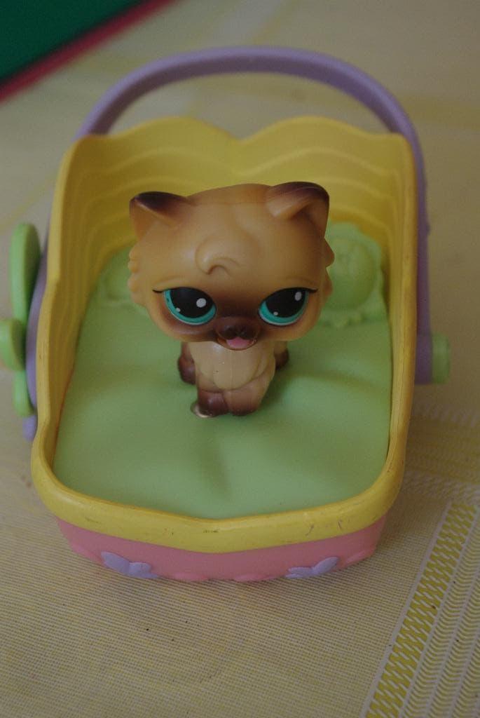 Pet Shop et accessoire, Enlèvement ou Envoi, Utilisé, Poupée de maison de poupées