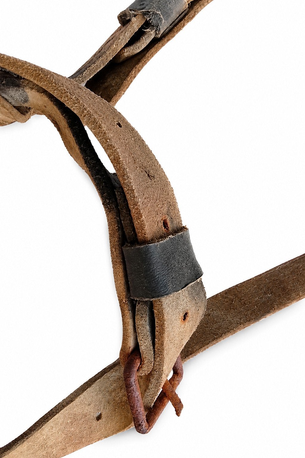 Zeldzame antieke gespijkerde hondenhalsband met harnas – ori, Ophalen of Verzenden
