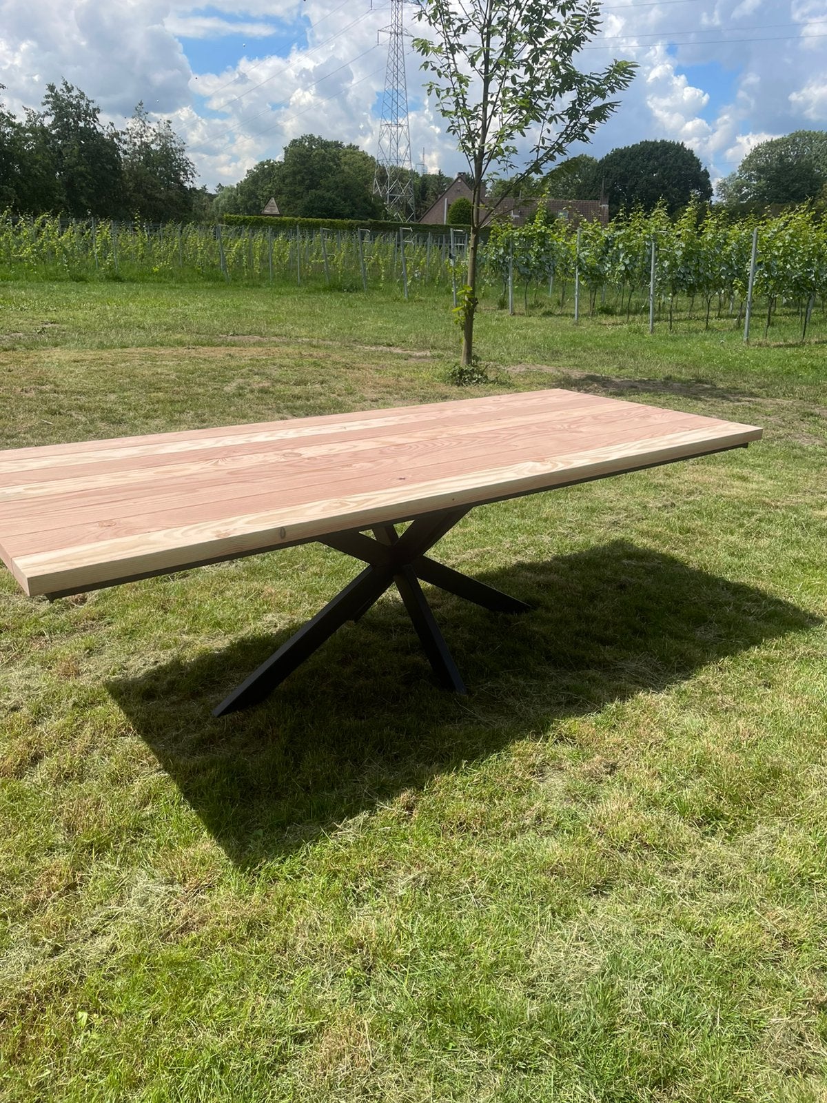 Tuintafel, Jardin & Terrasse, Tables de jardin, Neuf, Rectangulaire, Bois, Enlèvement ou Envoi