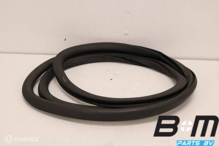 Portierrubber achterzijde VW Polo 9N3 6Q6867911H, Autos : Pièces & Accessoires, Utilisé