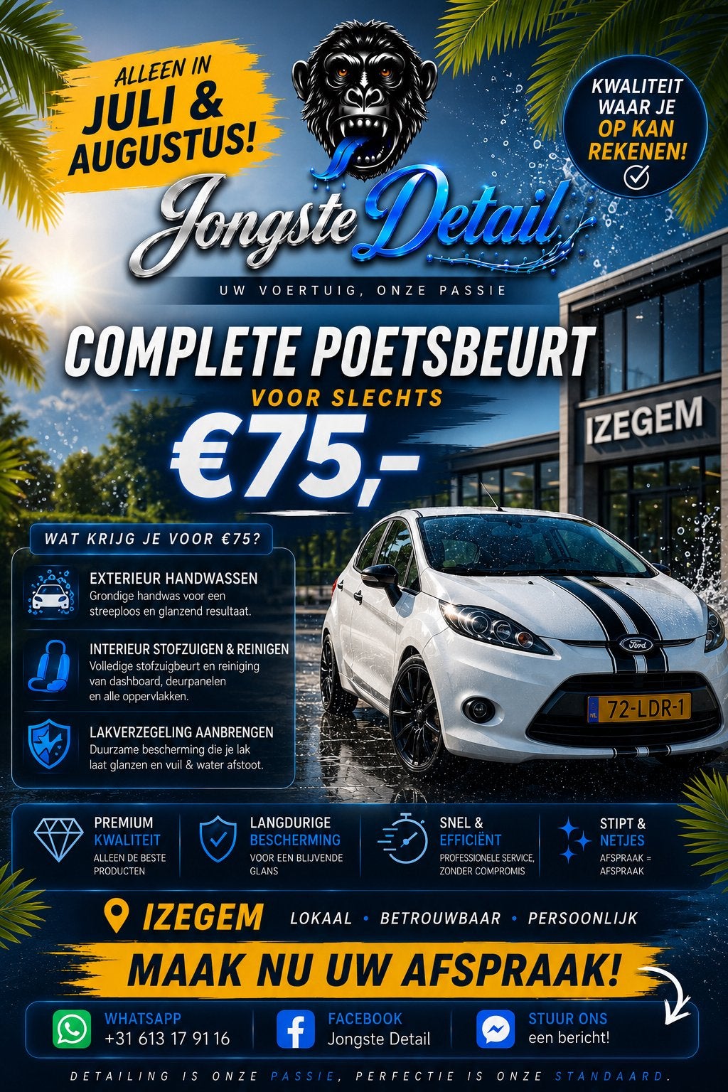Complete Auto Detail voor Slechts €75 – Izegem, Autos : Divers, Produits d'entretien, Enlèvement