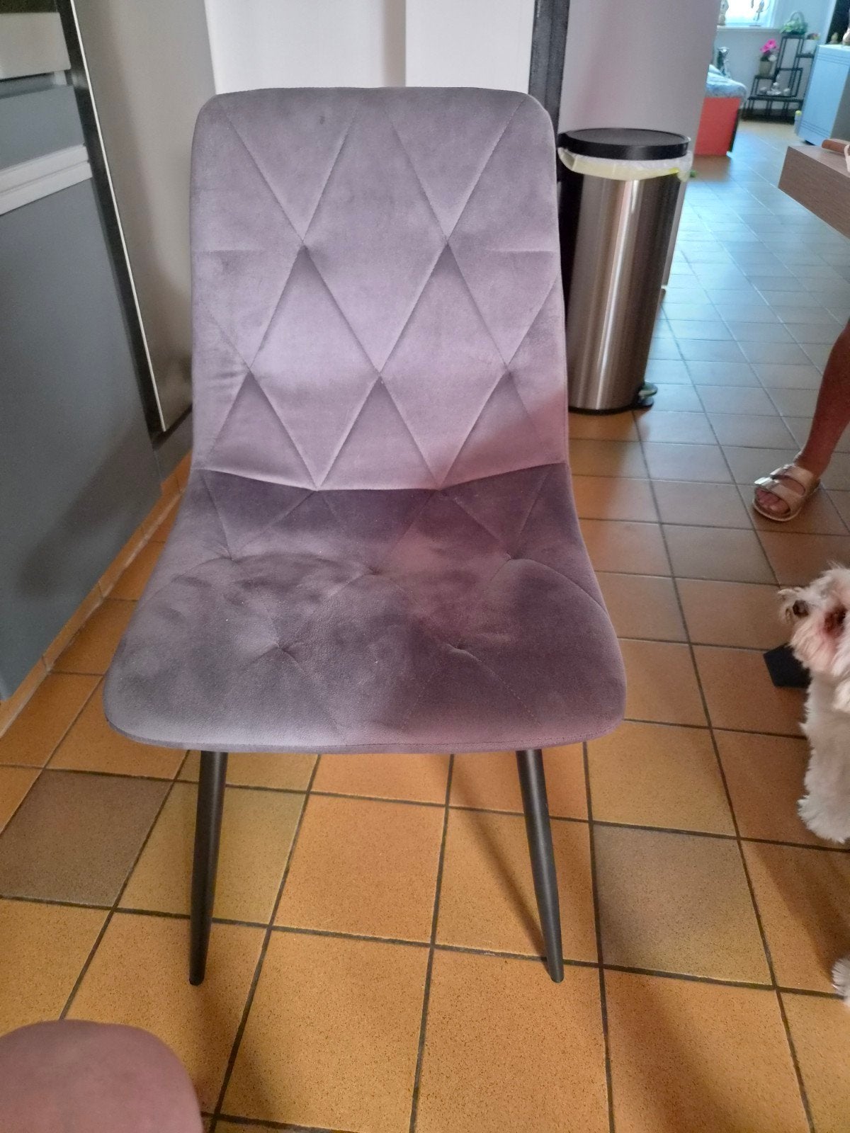 4 chaises neuves à vendre, rien de plus que de venir les che, Maison & Meubles, Chaises, Neuf, Gris, Enlèvement, Quatre