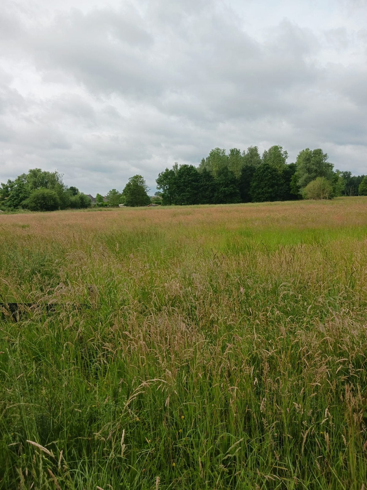 Kleine balen hooi van veld af te halen, Ophalen, Vee