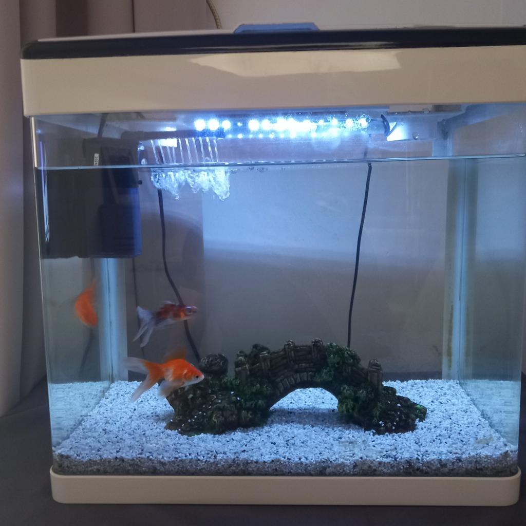 Aquarium te koop, Comme neuf, Enlèvement, Superfish, Decoratie