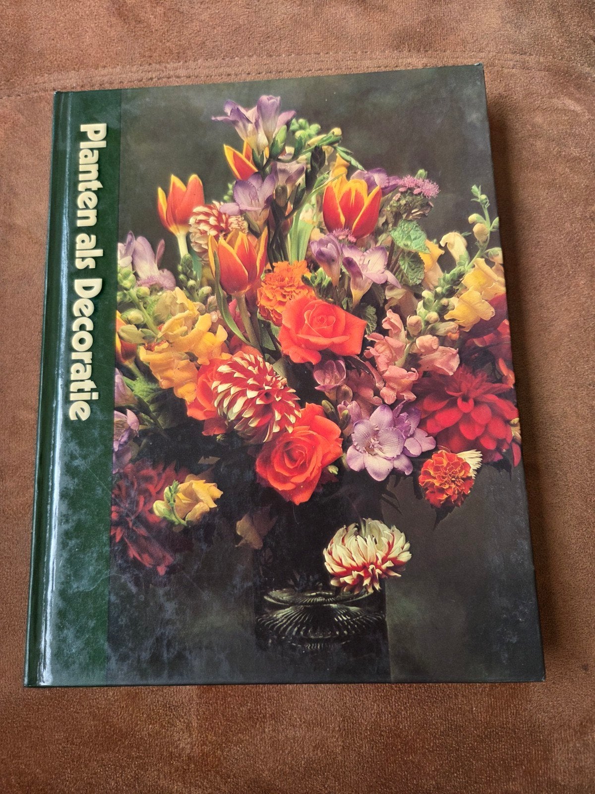 Planten als decoratie, Ophalen of Verzenden