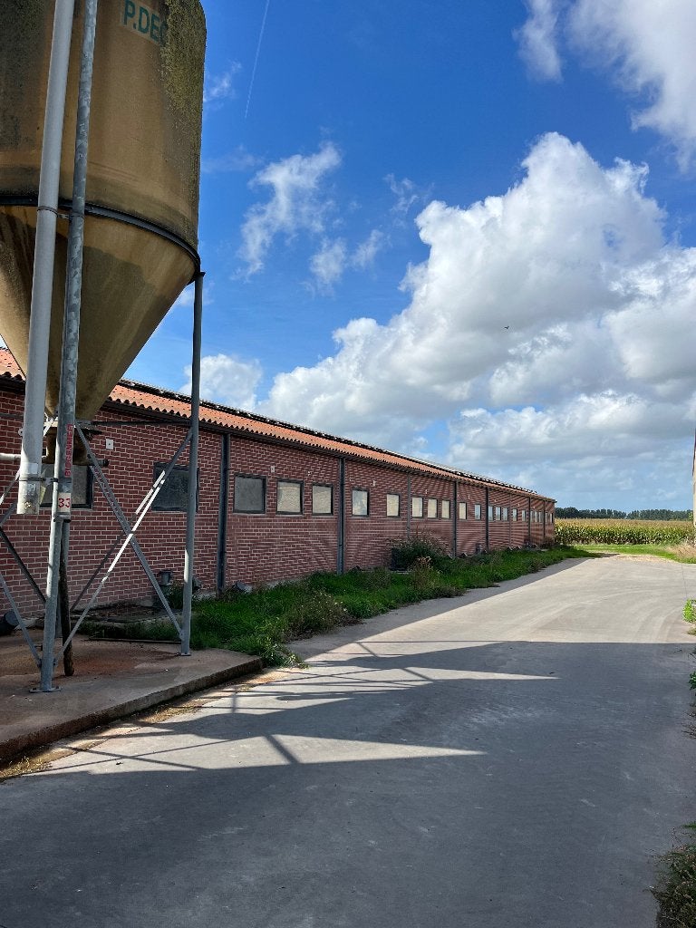 betonpanelen, spanten en golfplaten, Doe-het-zelf en Bouw, Ophalen, Gebruikt, Betonplex