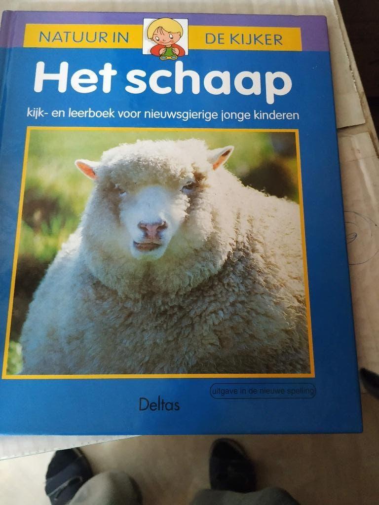 leerrrijk boek natuur in de kijker voor kinderen het schaap, Boeken, Ophalen of Verzenden