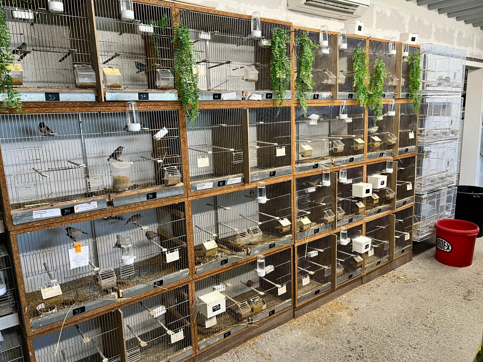 Kweekstelling, Dieren en Toebehoren, Vogels | Hokken en Kooien, Zo goed als nieuw, Ophalen