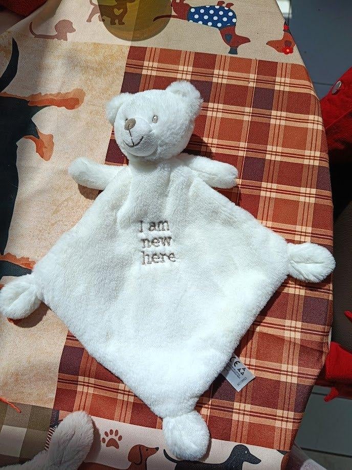 knuffeldoekje nicotoy beer i am new here wit (doos mei 2026), Enfants & Bébés, Jouets | Peluches, Enlèvement ou Envoi, Neuf, Ours