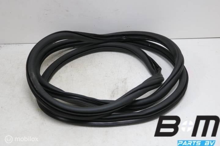 Portierrubber RV VW Passat B8 Var. FL 3G0867912K, Utilisé
