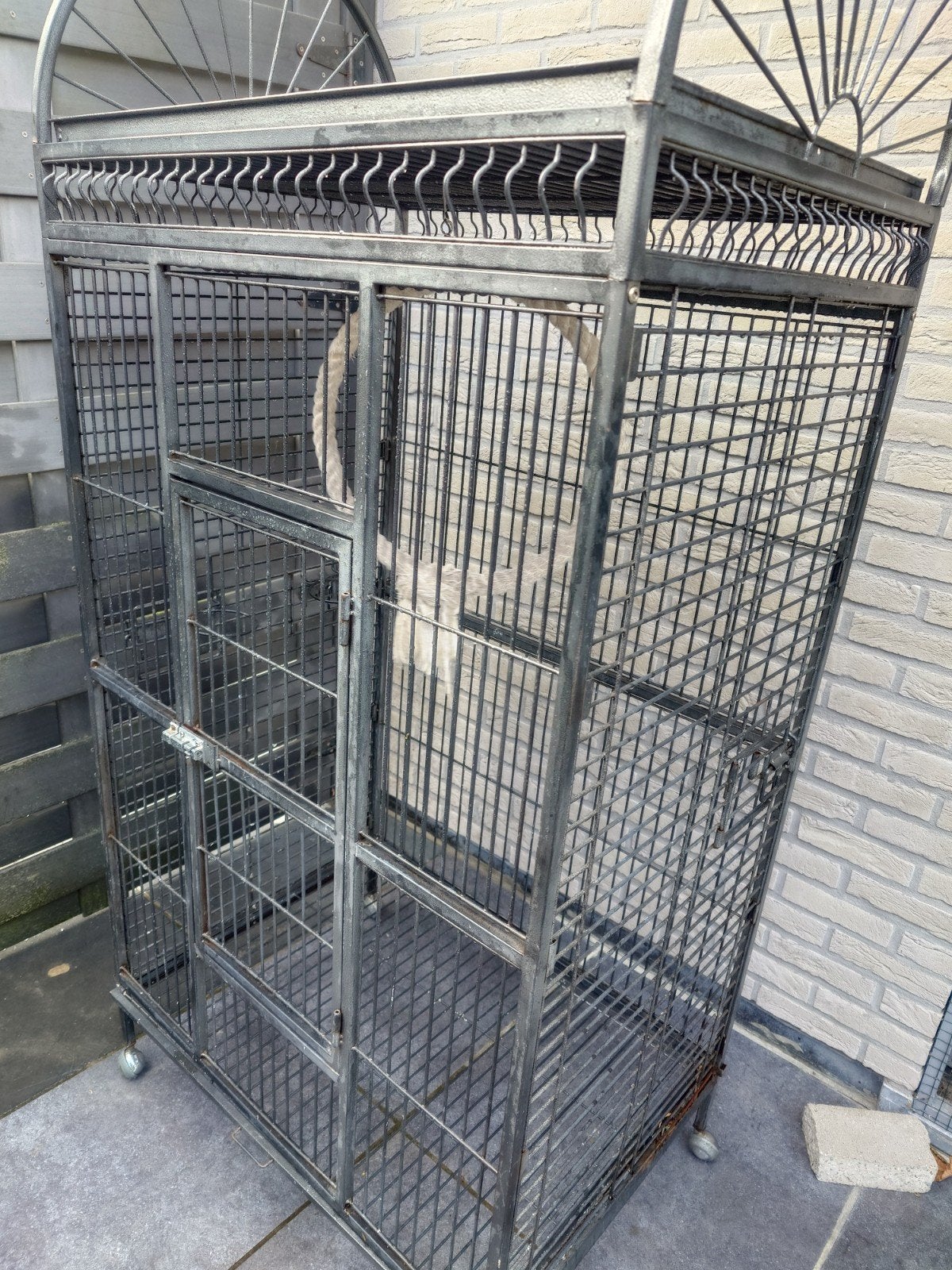 papegaai Kooi, Enlèvement, Utilisé, Métal, Cage à oiseaux