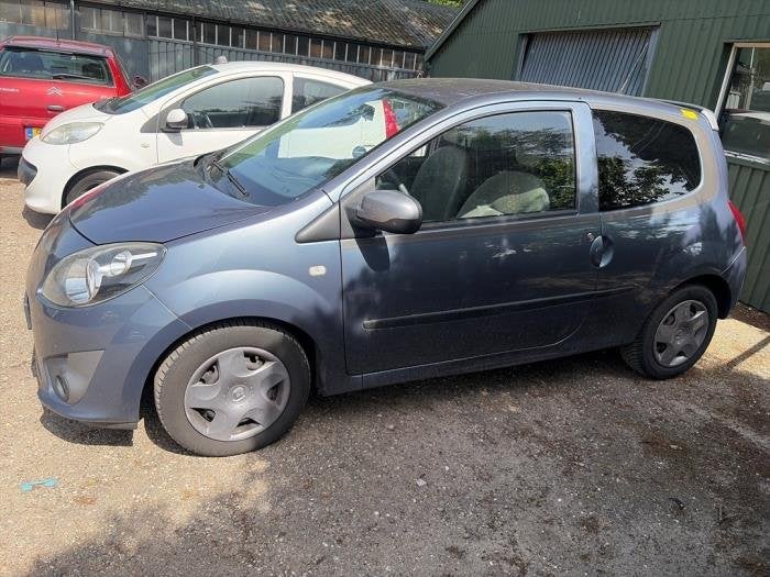 Portière 2portes gauche d'un Renault Twingo (TEJ47), Renault, -, 3 mois de garantie, Utilisé
