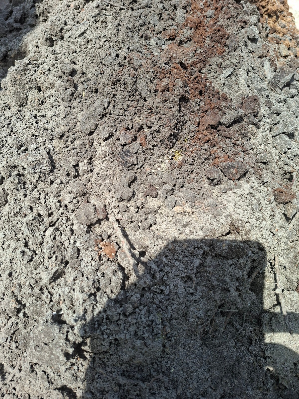 Gratis zwarte grond in bocholt 6 a7 m3, Enlèvement ou Envoi