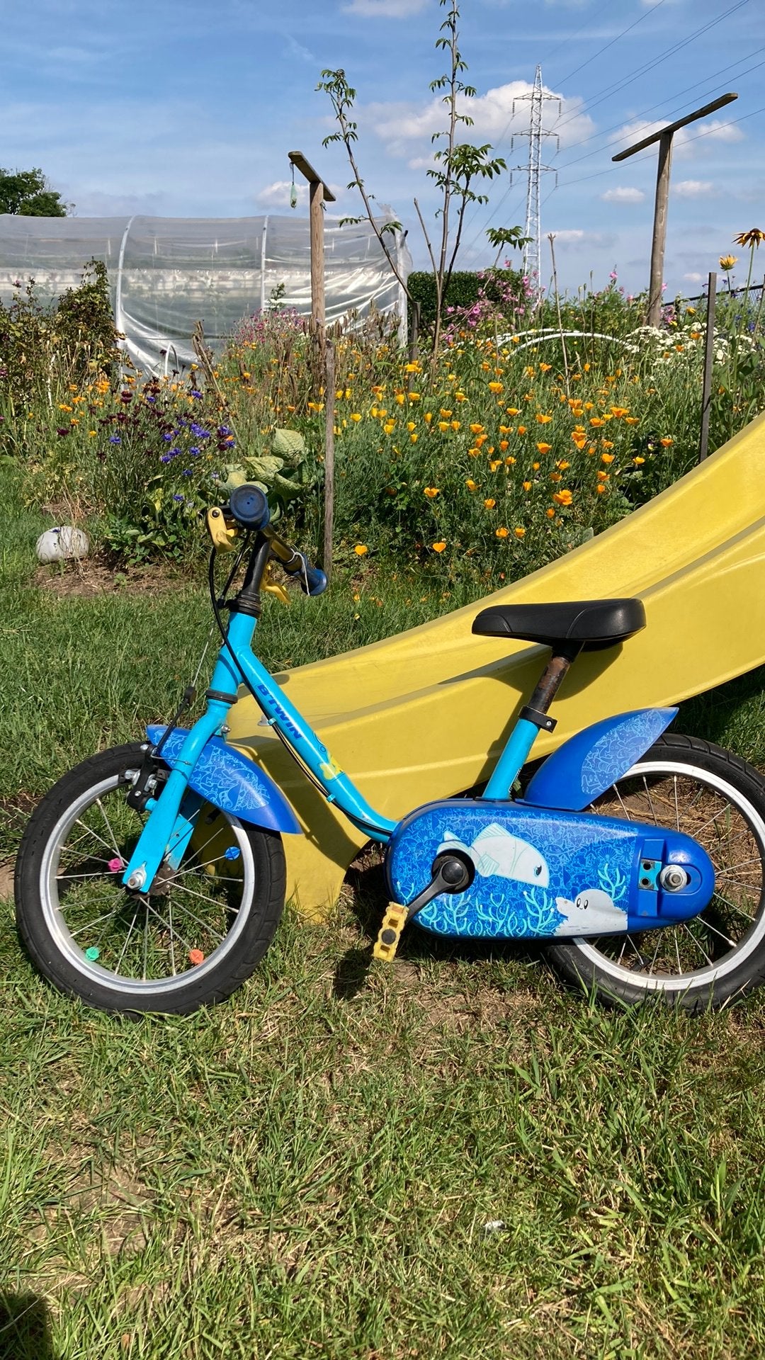 Vélo pour enfants 14 pouces, Frein sur jante, Stabilisateurs, Enlèvement, Utilisé