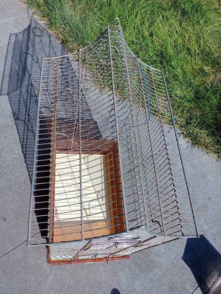 Cage à oiseaux en fer, Enlèvement, Utilisé, Métal, Cage à oiseaux