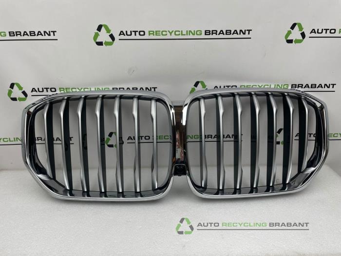 Pare-chocs grille d'un BMW X5, -, 3 mois de garantie, Utilisé, -