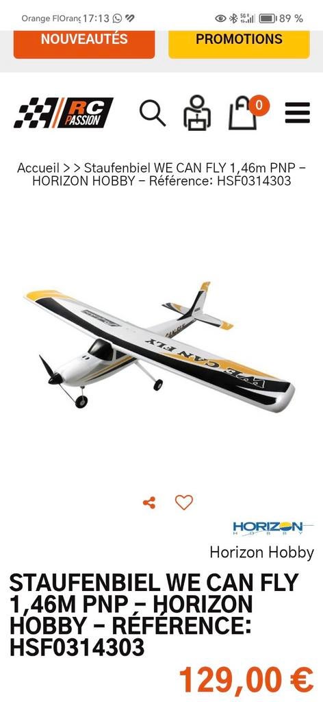 Avion rc Staufenbiel We Can fly, Enlèvement