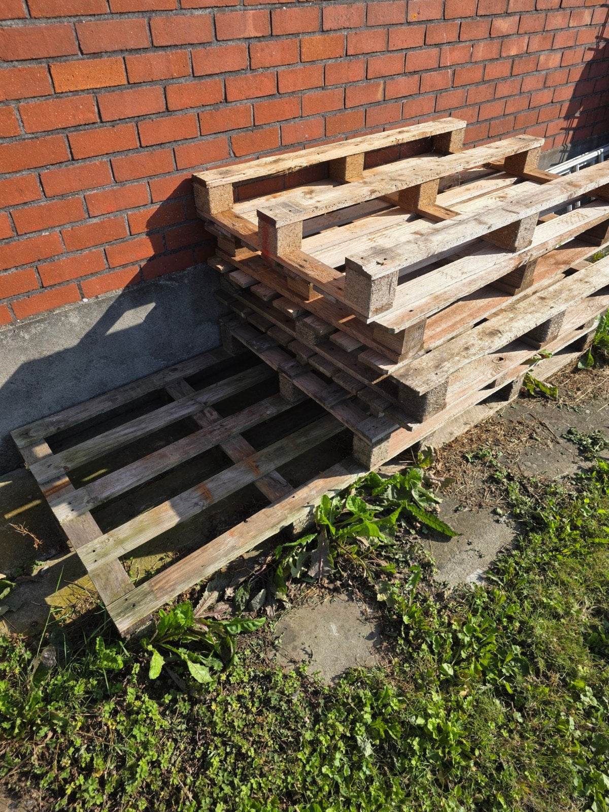 palettes, Bricolage & Construction, Bois & Planches, Enlèvement