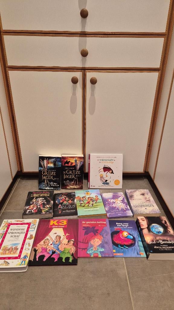 De grijze jager, Berrefonds, Geronimo Stilton, Kief,.., Ophalen of Verzenden, Gelezen