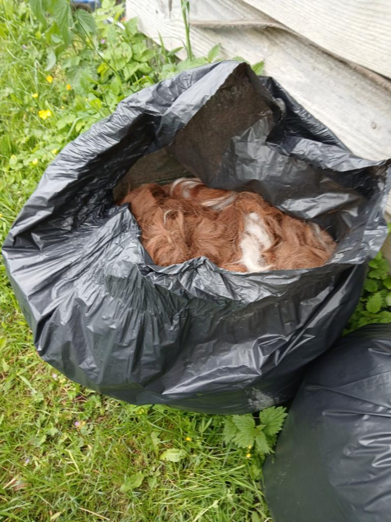 Alpaca wol. Een zak vol., Ophalen