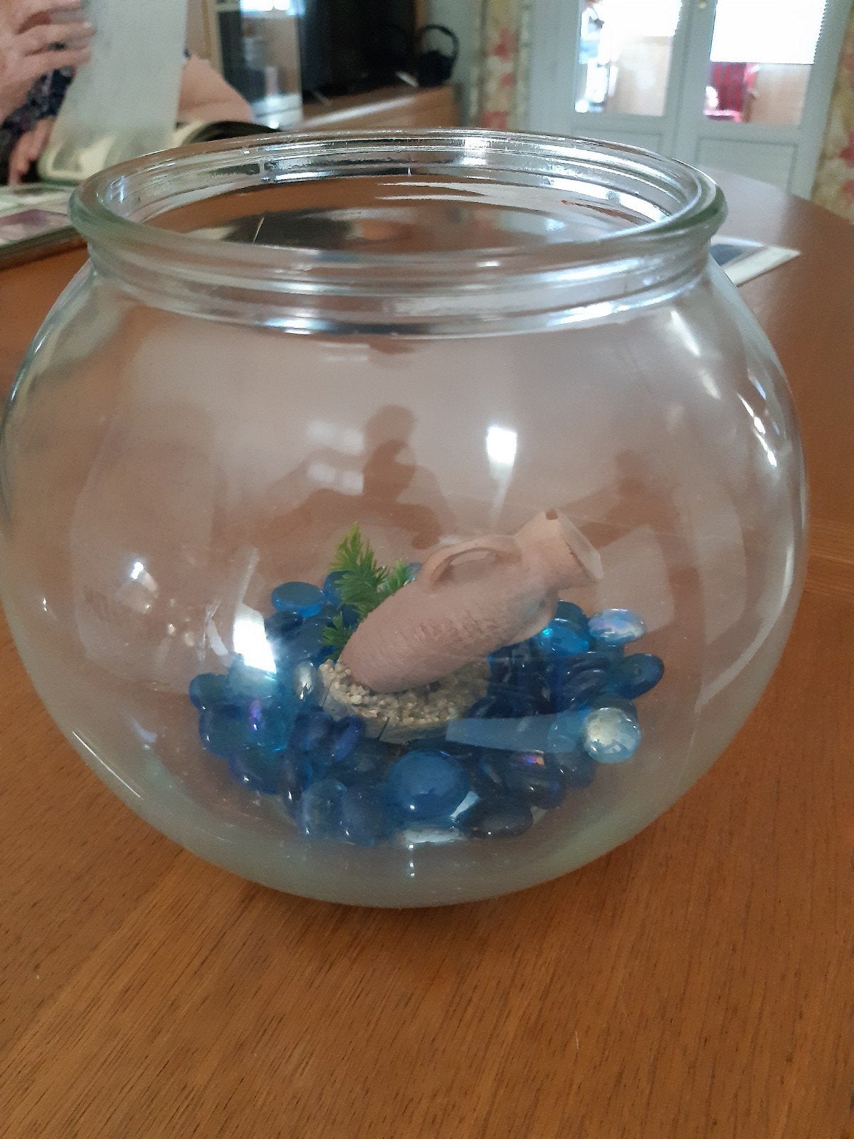 Aquarium, Ophalen of Verzenden