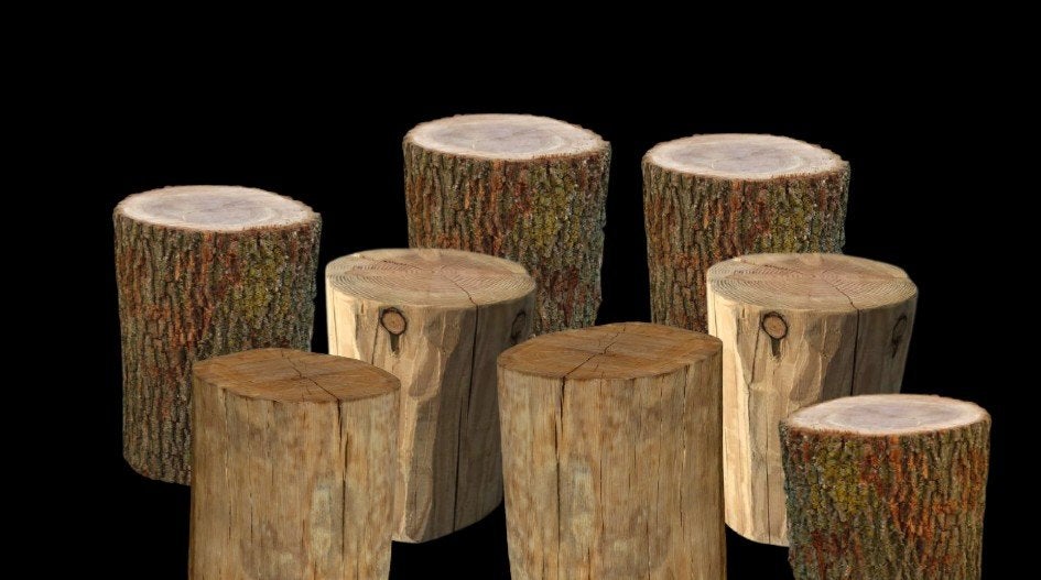 plusieur m3 de rondin de bois, Jardin & Terrasse, Enlèvement