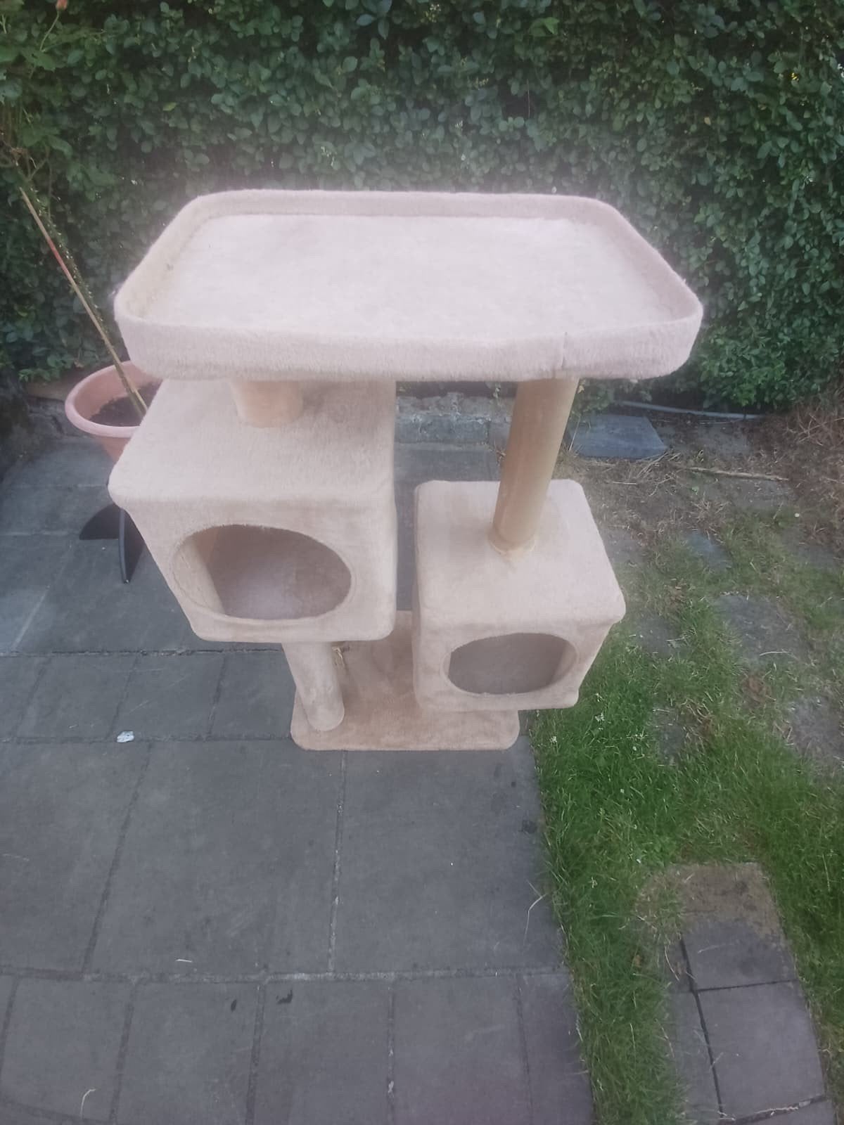 arbre à chat