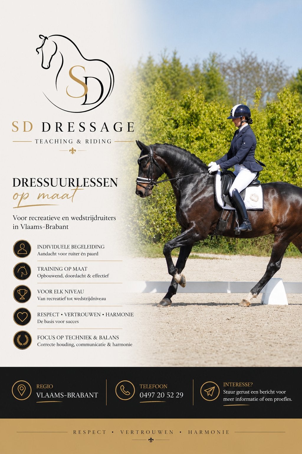SD dressage teaching and riding, Dieren en Toebehoren