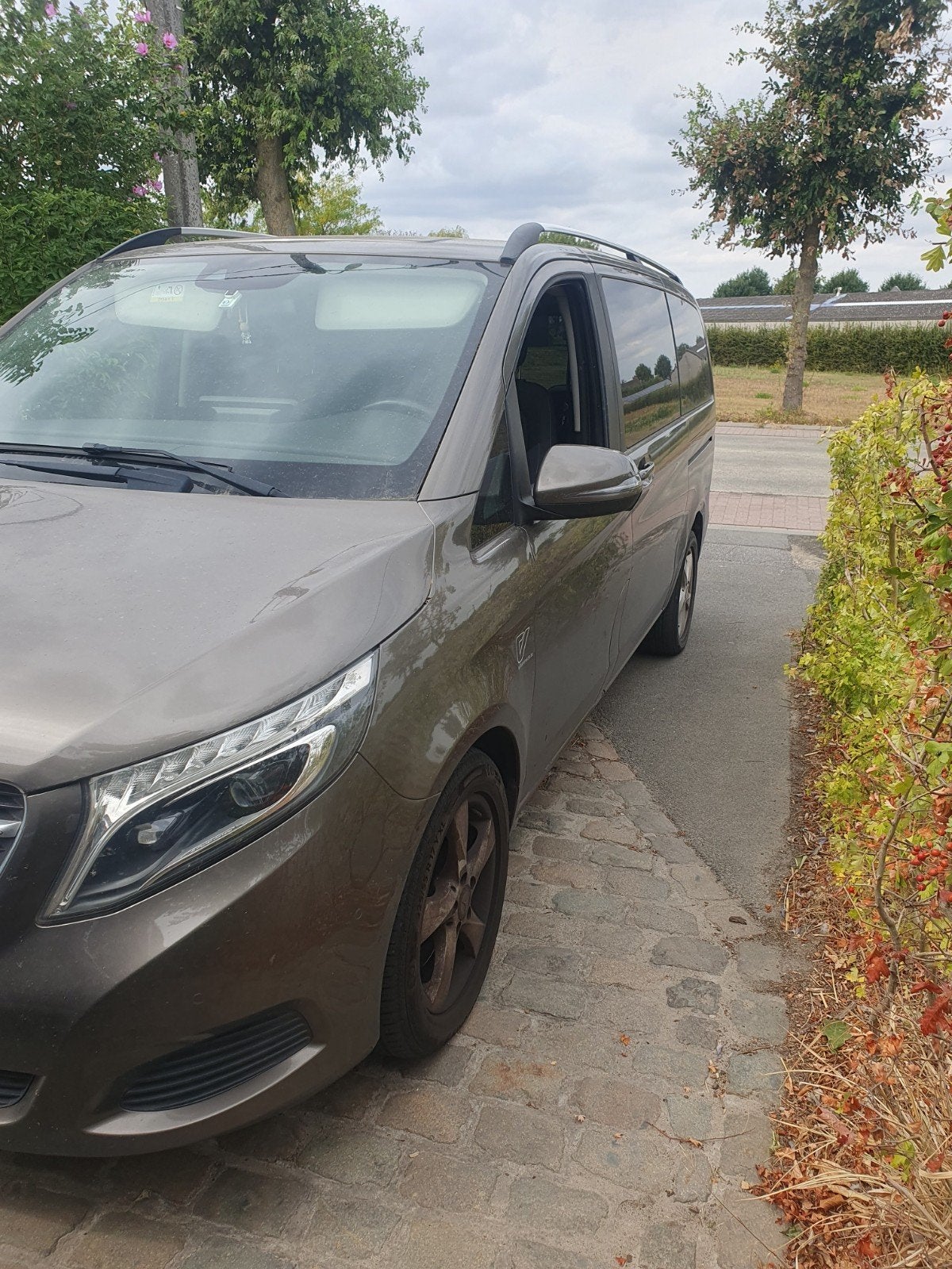 Mercedes Classe V 250 Bluetec Édition Avant-Garde, Achat, Série 200, Euro 6, Noir