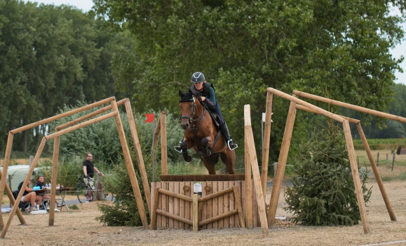 4 jarig top eventingpaard, B, 160 à 165 cm, Cheval de saut, 3 à 6 ans
