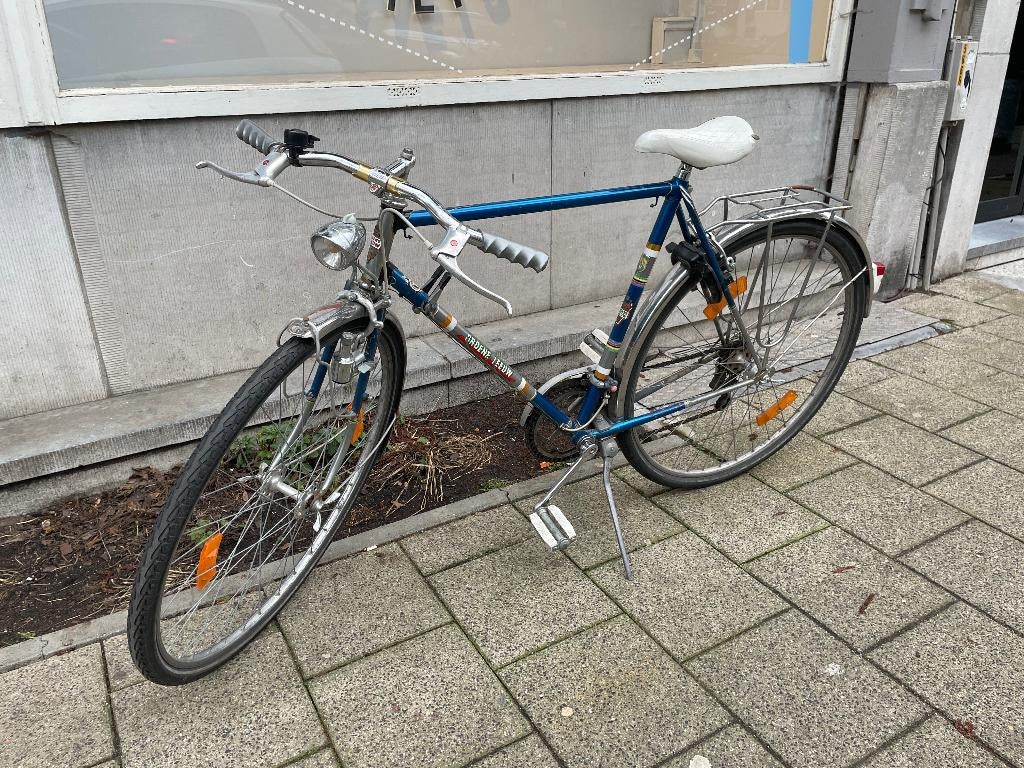 Vintage | retro groene leeuw, Ophalen